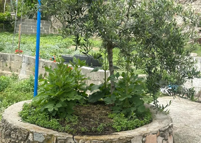 Pensión Romeo's 2 Piqeras