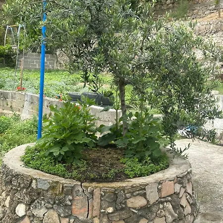 Guest house Romeo's 2 Piqeras